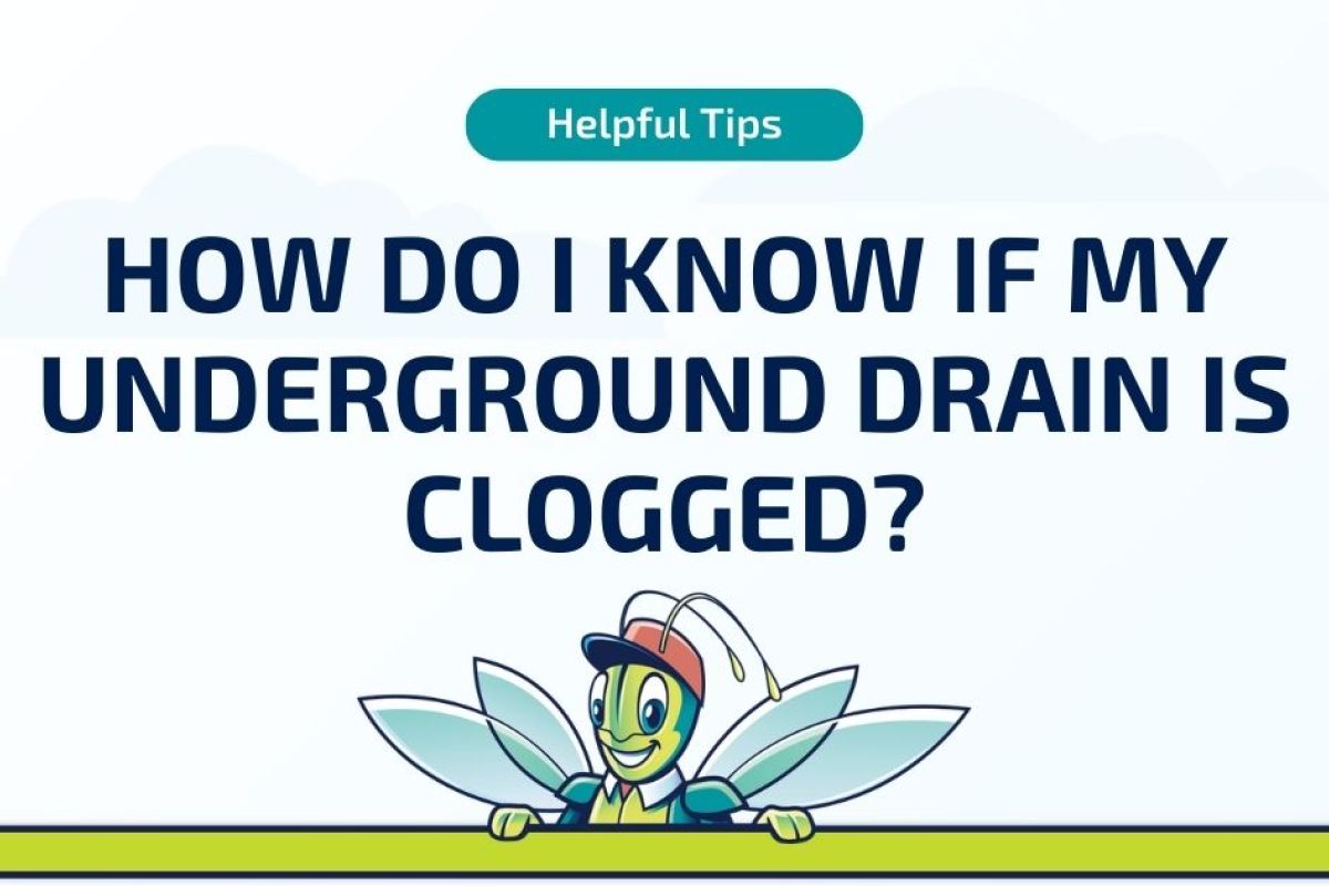 How Do I Know If My Underground Drain Is Clogged?