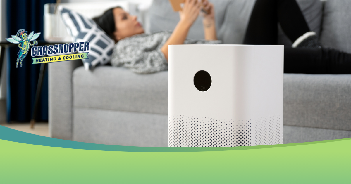 The Secret to Healthier Air at Home: Why Filtration and Humidity Matter
