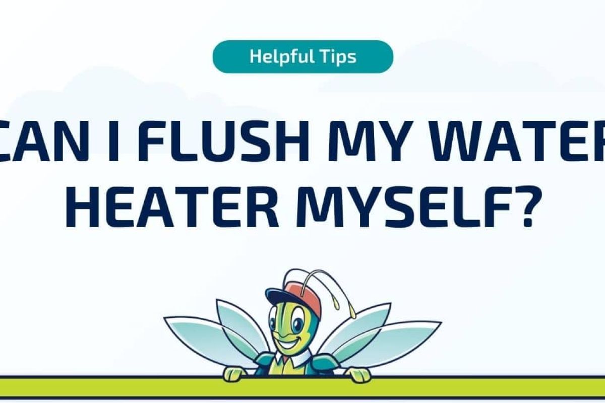 Tankless Water Heaters 11 Can I Flush My Water Heater Myself?