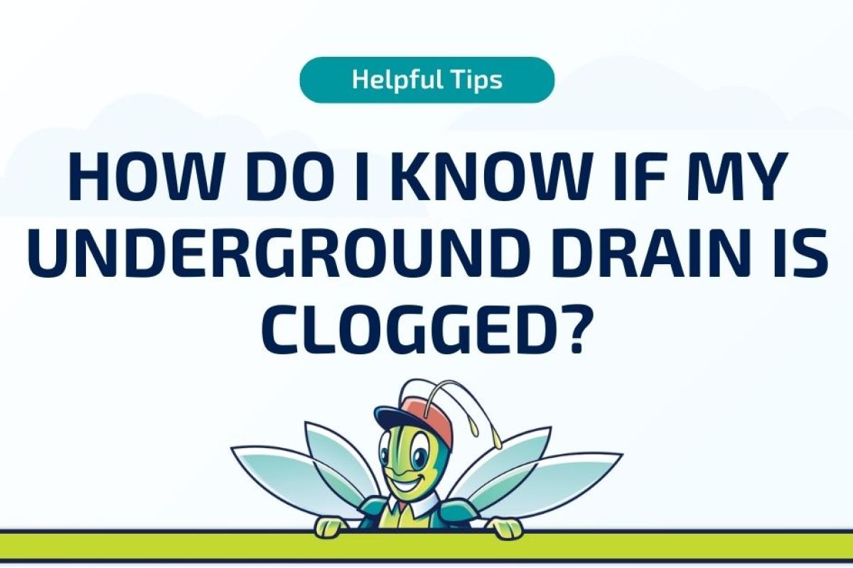 Clogged Drains 10 How Do I Know If My Underground Drain Is Clogged?